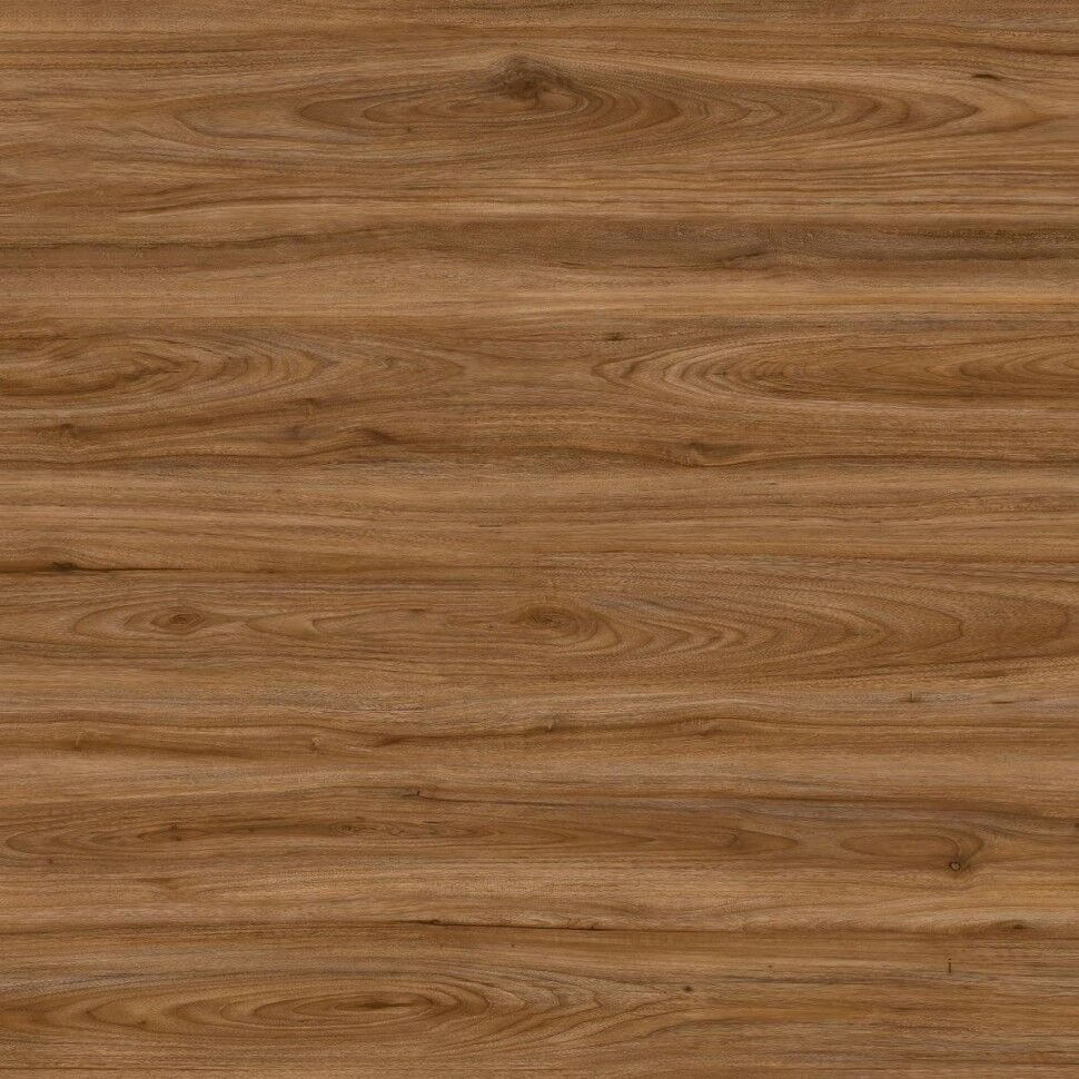 20876970
